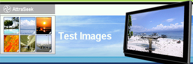 Test Images